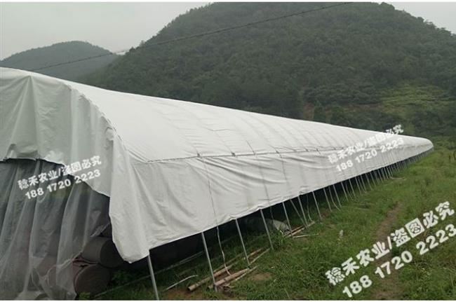 工厂销厂促厂促遮光大棚降温黑白膜加厚反光膜遮R光膜膜养殖棚膜