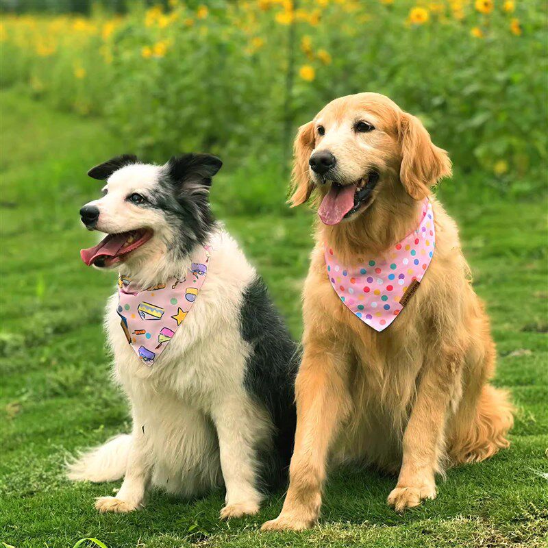 宠物围巾狗狗三角巾围脖围巾大中小型犬猫咪围脖围嘴口水巾时尚款