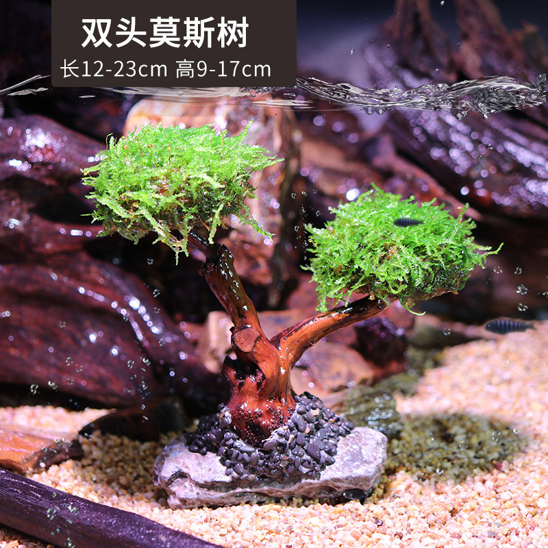莫斯树成品生态鱼缸造景水草真草缸植物活莫斯装饰沉木套餐迎客松