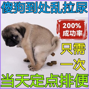 狗狗厕所定点排便诱导剂狗大小便定点拉屎拉尿狗训练防止乱拉乱尿