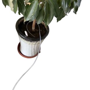 定时智能浇花神器自动浇水神器出远门出差大容量浇花器自吸家用