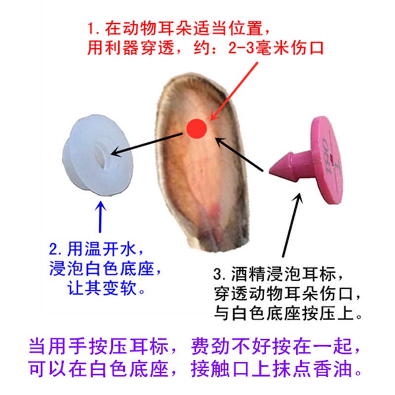 速发兔子耳标 兔用耳标 兔耳标牌 兔带字耳标 兔标记