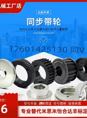高扭矩同步带轮HTPA26/28/30/32/34/36/40/44/48S5M100-A-P/N/H替