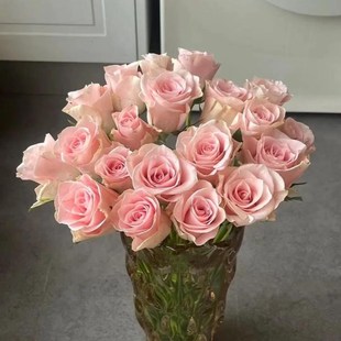 粉爱神玫瑰鲜切花 家庭 办公室装饰水养瓶插花 生日情人节花束