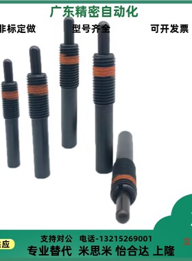 ZAP12弹簧柱塞PJH3/m4/5/6/8/10/12-1.5/2/3/4/5/10/15弹顶锁紧销