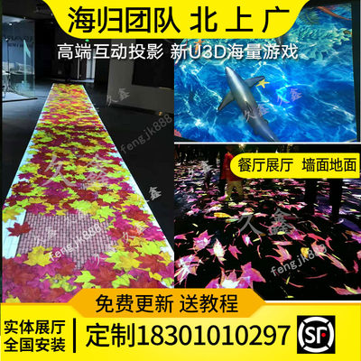 新品抖音a3D地面互动投影设备户外公园走廊投影灯全息鱼水动态感