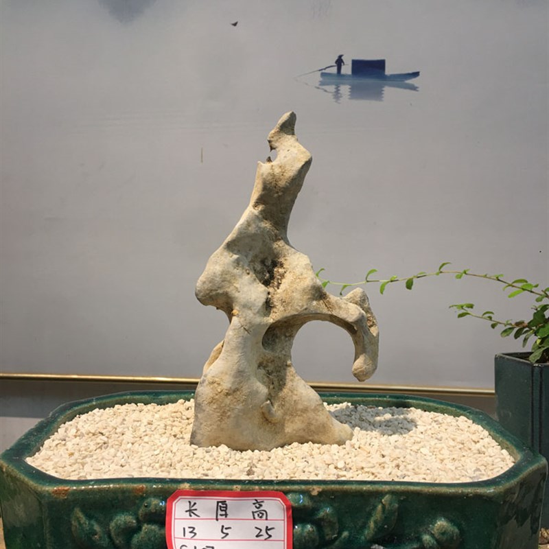 广西天然太湖石,n盆景附石,鱼缸景观石,天然太湖石摆件