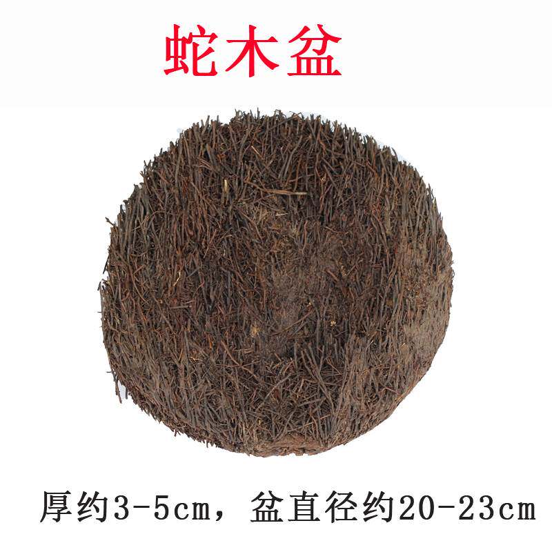 速发蛇木板石斛蝴蝶兰空气凤梨介质蛇木屑蛇木盆蛇木柱兰花附生植