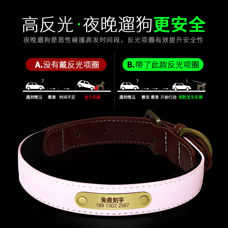 发光狗狗项圈刻字猫咪p小型犬中型铃铛脖圈大型定制宠物防丢狗牌图片