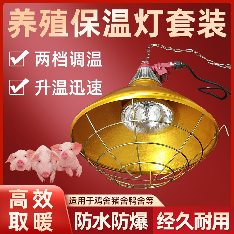 取暖灯泡灯罩套装 l育雏鸡苗可调温加热带线罩 养殖场仔猪保温箱