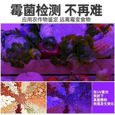 紫光灯鉴定烟酒专用验钞65照m鉴B别强翠n玉石手电筒翡光紫外线笔.