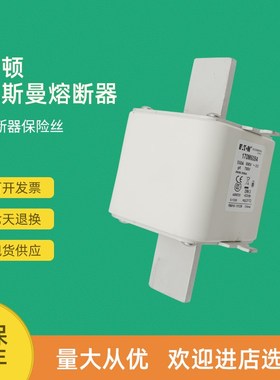 全新快速熔断器保险170M6084 170M6085 170M6086 170M6087
