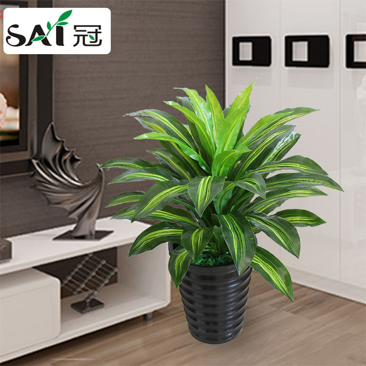 仿真植物假树盆景大型绿植盆栽室内客厅j酒店装饰摆设仿真巴西木