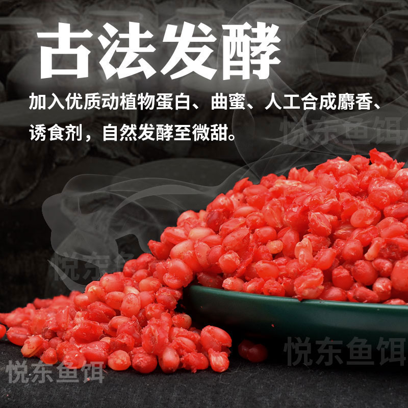 现货鲫鱼饵鲤鱼草鱼钓鱼麦子颗粒饵料竞技黑坑野T钓垂钓钓饵小麦