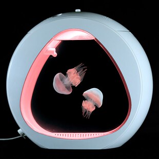 水母缸活物生态造景客厅桌面宠物卧室观赏鱼缸恒温养X殖专用水族