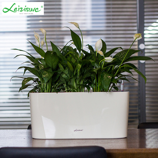 自动吸水花盆长方形创意塑料树脂绿萝箩阳台窄长条免浇水窗台花盆