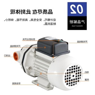 车用尿素泵电动隔膜泵耐腐蚀碱增压化工12V24V2泵20V电动抽酸液