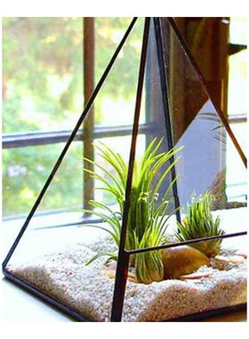 Various Shape Glass Greenhouse Terrarium Pot Garden Cafe Bar
