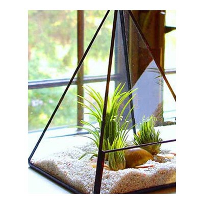 Various Shape Glass Greenhouse Terrarium Pot Garden Cafe Bar