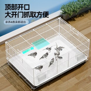 鴿子籠子家用養(yǎng)鴿籠養(yǎng)殖籠繁殖籠配對(duì)籠大號(hào)R新型鴿舍運(yùn)輸籠子