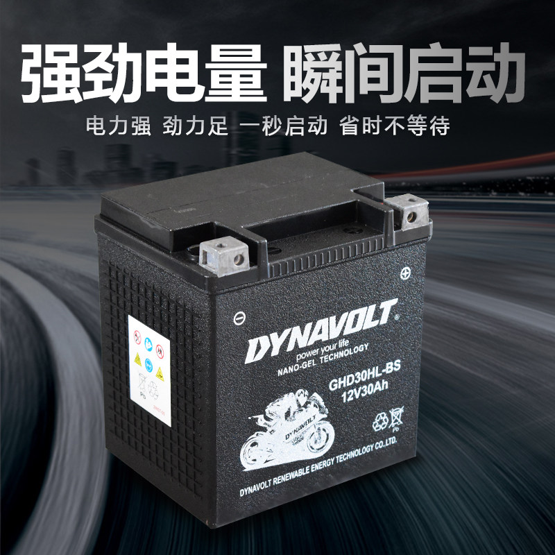 哈雷大滑翔电瓶路王庞巴迪260摩托艇春风沙滩车12v30猛狮胶体电池