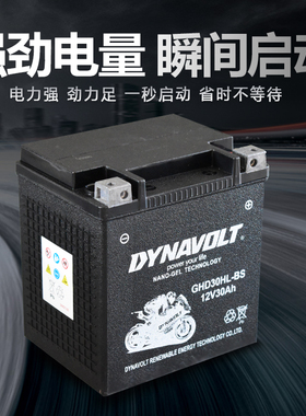 哈雷大滑翔电瓶路王庞巴迪260摩托艇春风沙滩车12v30猛狮胶体电池