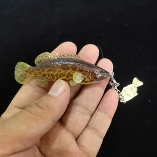 3D立体鱼模型钥匙扣挂件翘嘴鱤鱼鳜鱼马口鳎鱼鲈鱼手机挂件装饰品