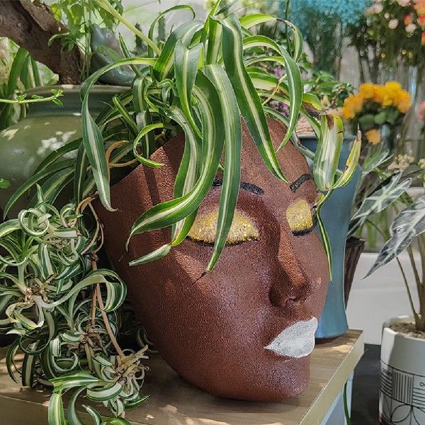 aa Wdll Planter Resuin Face Flower Pot Wall Mount