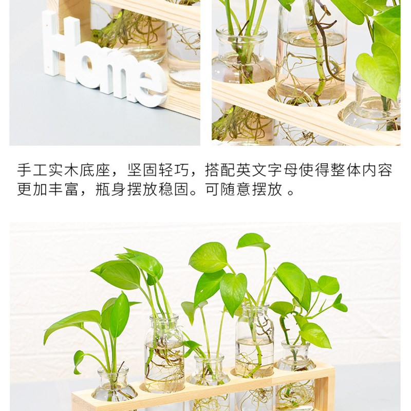 速发木架创意水培玻璃花瓶绿萝植物花器客厅小容器办公室桌面摆件