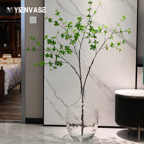 吊钟马醉木大肚玻璃花瓶摆件客厅插花居家桌面透明水培养大号落地