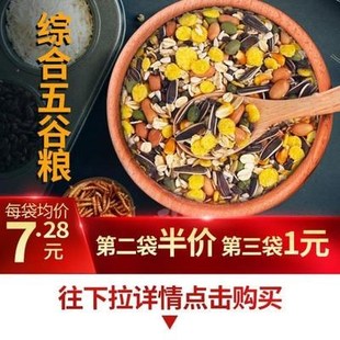 速发防摔鼠笼宝宝仓鼠笼子超大别墅窝 空间 塑料抽屉式 收纳箱经典