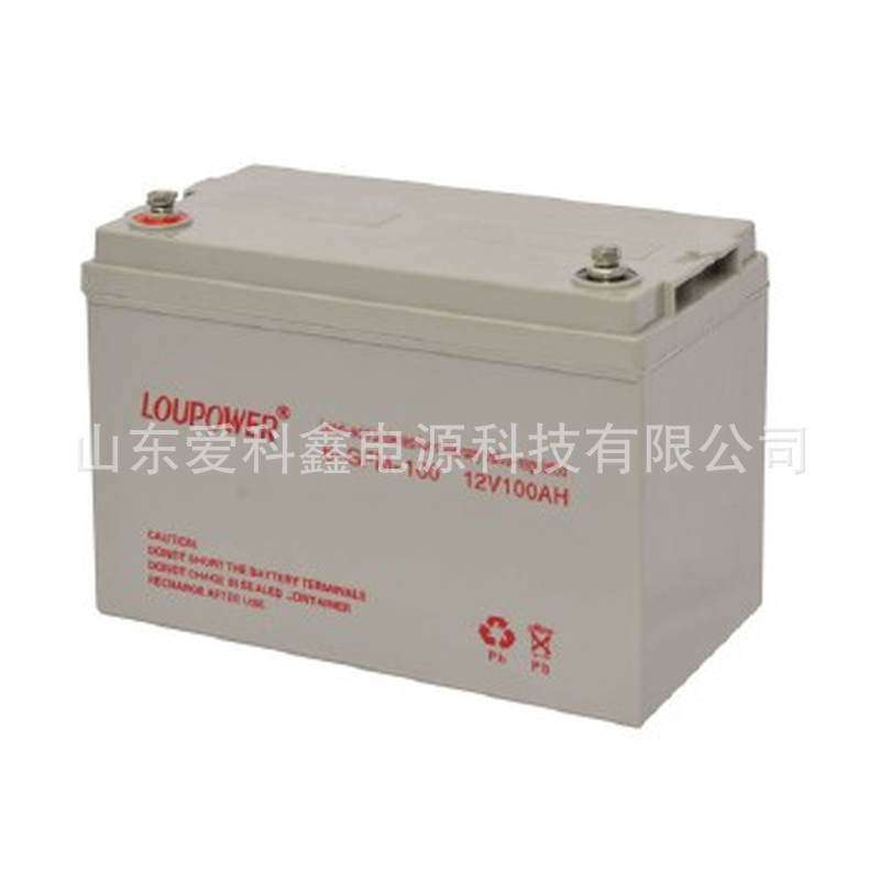 Loupower莱力蓄电池6-GFM-24 12V24AH直流屏UPS应急照明