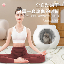 宠物烘干箱家用吹风机吹水机静音杀菌G狗狗猫咪烘干机洗澡吹干神