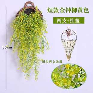 悬挂壁挂花藤垂吊L藤条植物干花藤蔓室内绿 饰摆件挂墙 花假装 新品