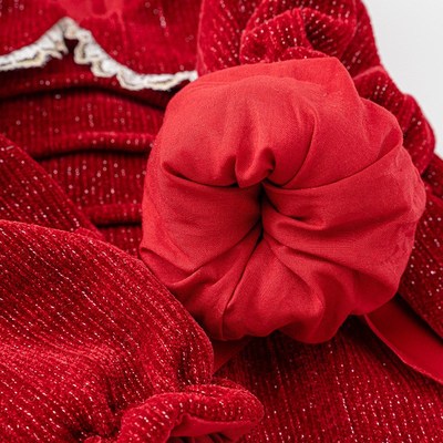 婴儿长袖连衣裙春秋一周岁女宝宝B礼服抓周公主裙子洋气红色生日