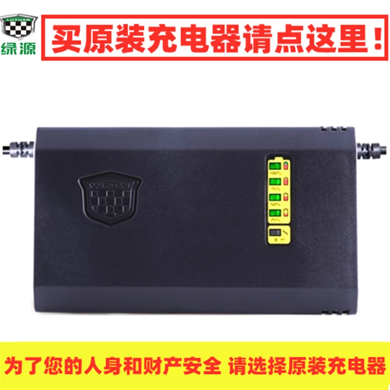 绿源电动车充电器/原装电动车冲电器48V60V72V-20E-30EZ-T原厂配