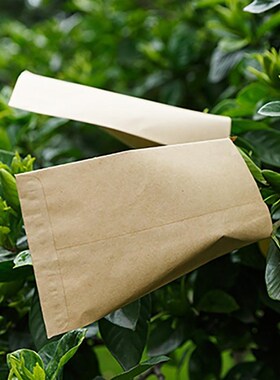 100pc Kraft Paper Bag Cookie bags mini Envelope Gift Bags C