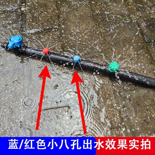 农用可调滴头果树滴灌配件绿孔喷灌头灌溉设备 微喷头8孔小红蓝帽