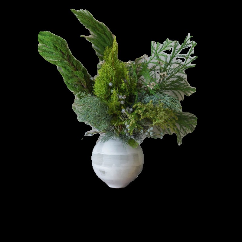 花曌 耶誕節(jié)限定家居瓶插花側(cè)柏雪花松枝龍柏松真的鮮活松枝水培
