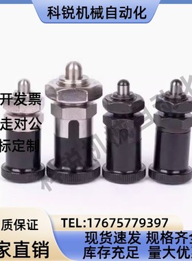 ZAY11/12/13/14/15/16/17/18-M10 12 16 20分度销 粗牙细牙自锁型