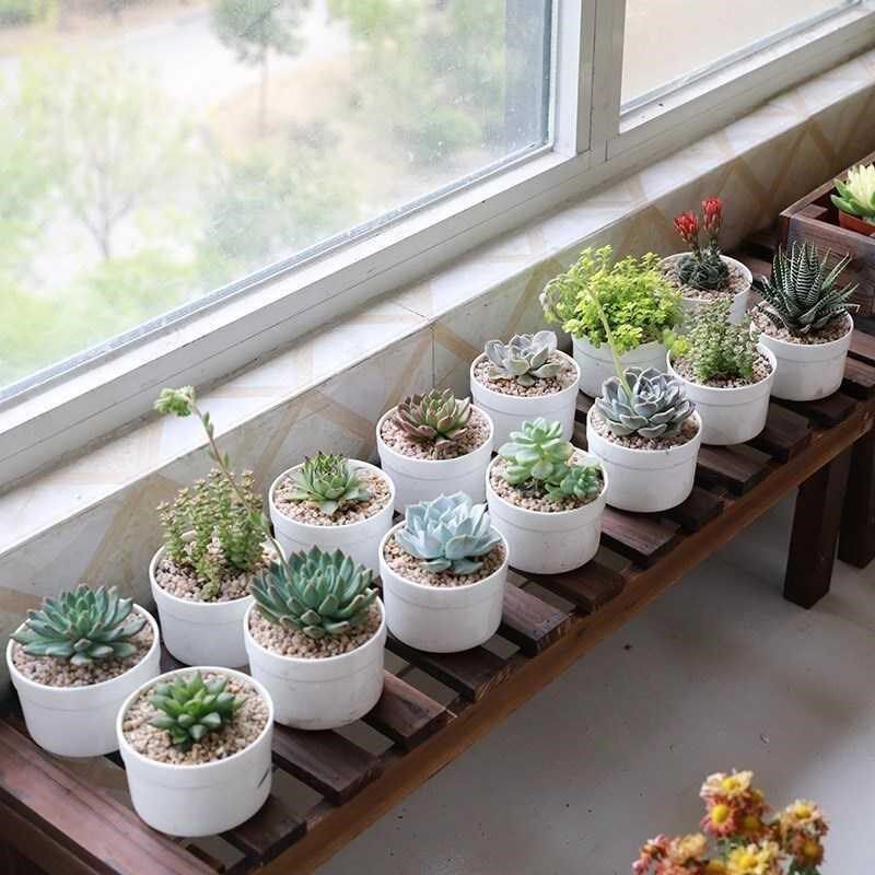 C带花架子多层室内盆景开业悬挂挂式花台竹子墙壁挂盆栽架花篮可g