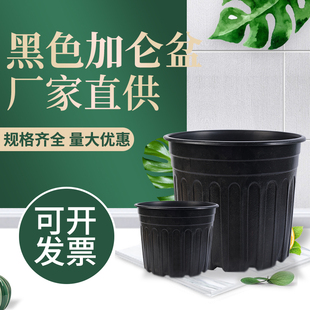 侧棱青山加仑盆大号加厚塑料花盆阳台月季 玫瑰绿萝吊兰黑色控根盆