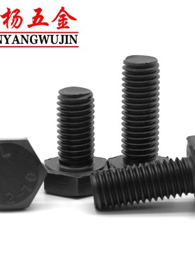 M6M8M10机螺栓304不锈钢黑色外六角螺丝螺钉*40x55x60x65x70x80mm