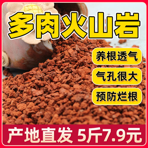 红色火山岩d黑色火山石铺面石多肉土营养土颗粒土造景水族兰花专
