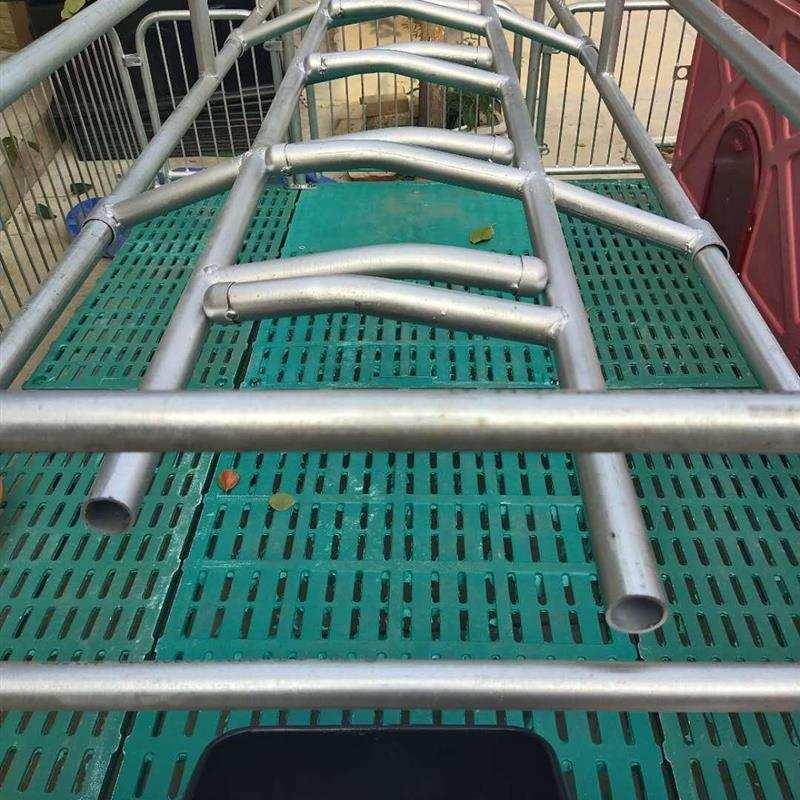 热销全复合产床母猪设备热镀锌母猪产床双体产床保育床产保两用分