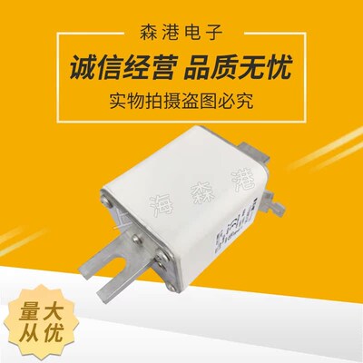 170M5196全新170M系列熔断器