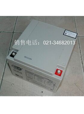 12V24Ah电瓶 UPS电池 备用电池组电源电瓶 消防蓄电池 照明电池