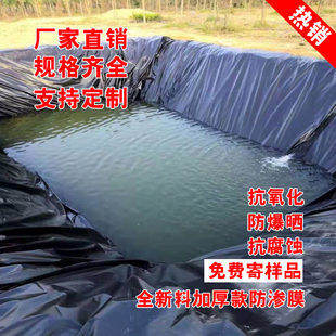 塑料布防水布鱼池塑料膜加厚薄膜农用鱼塘防渗膜土工膜防水膜