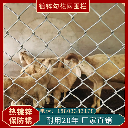 速发热镀锌铁丝网围栏勾花网养鸡钢丝网果园护栏网格家用圈牛羊隔