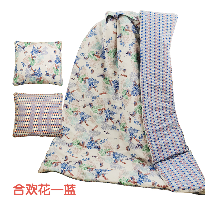 全棉抱枕被子两用纯棉靠垫加大汽车办公午休被加T厚可爱儿童小被